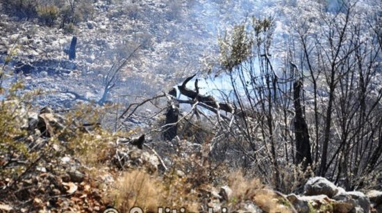 Χίος: Κάηκαν 35.000 μαστιχόδεντρα από την πυρκαγιά