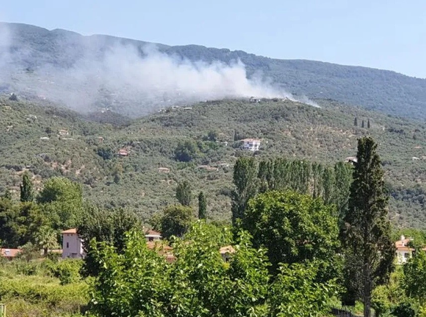 Πυρκαγιά στα Καλά Νερά Πηλίου (Pic)