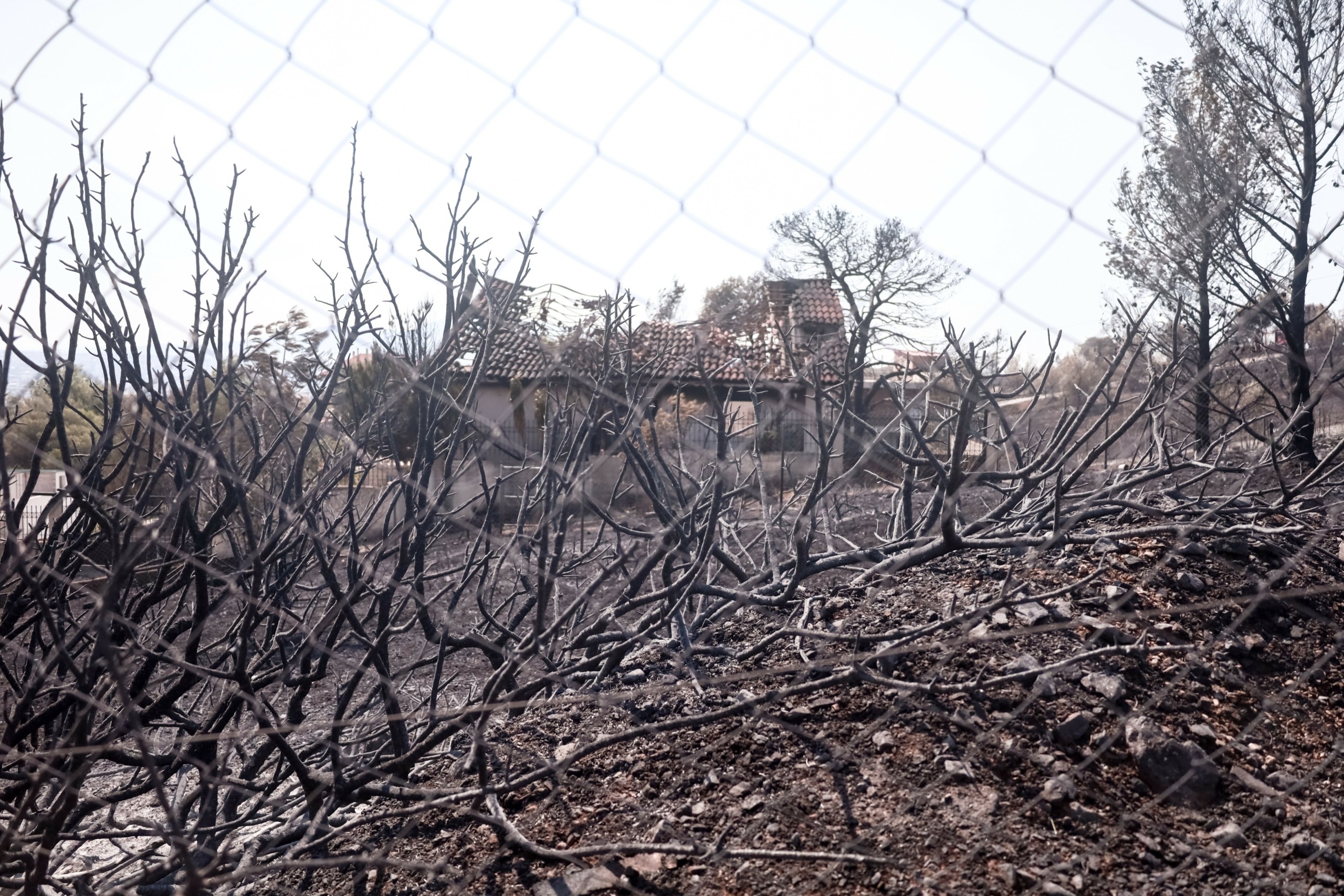 Φωτιές: Στάχτη έγιναν 1.200.000 στρέμματα έως και την Τετάρτη 23/8 (γράφημα)