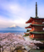 Ιαπωνία: Κατεδαφίζεται νεόδμητο κτίριο στο Τόκιο – Κρύβει τη θέα από το όρος Φούτζι