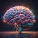 Χάρβαρντ – Google: Ερευνητές δημιούργησαν τη μεγαλύτερη τρισδιάστατη ανακατασκευή τμήματος εγκεφάλου