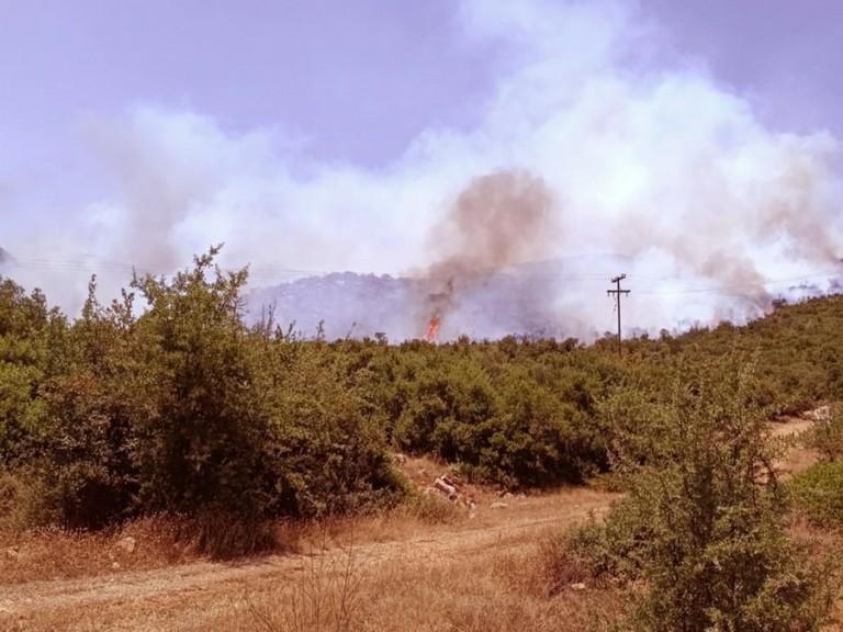 Μάχη με τις φλόγες σε πολλές περιοχές – Φωτιές σε Αχαΐα και Κρανίδι και Μεγαλόπολη