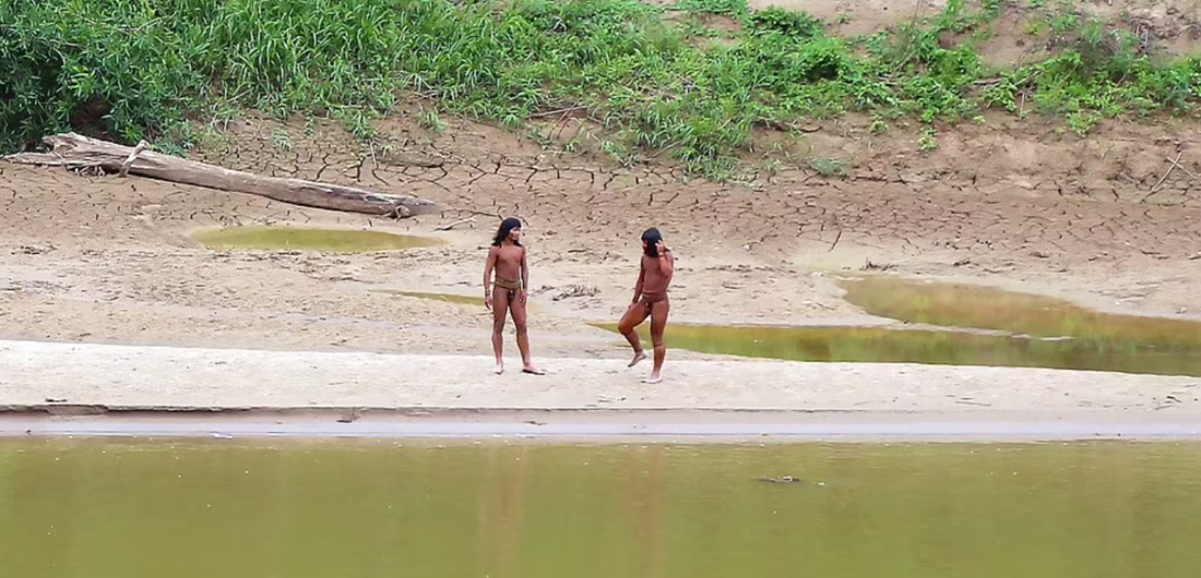 Αμαζόνιος: Η εντατική υλοτομία απειλεί απομονωμένη φυλή
