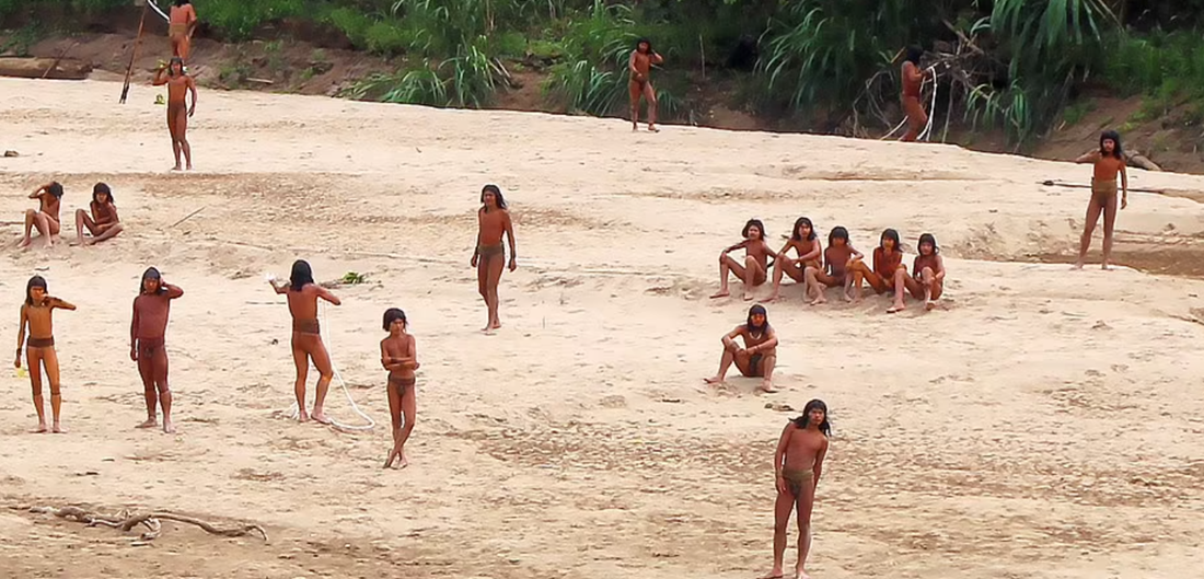 Αμαζόνιος: Η εντατική υλοτομία απειλεί απομονωμένη φυλή (Pics + Vid)