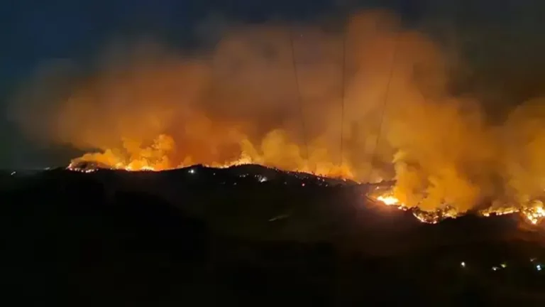 Πύρινη λαίλαπα στην Τουρκία: Στα περίχωρα της Σμύρνης η φωτιά